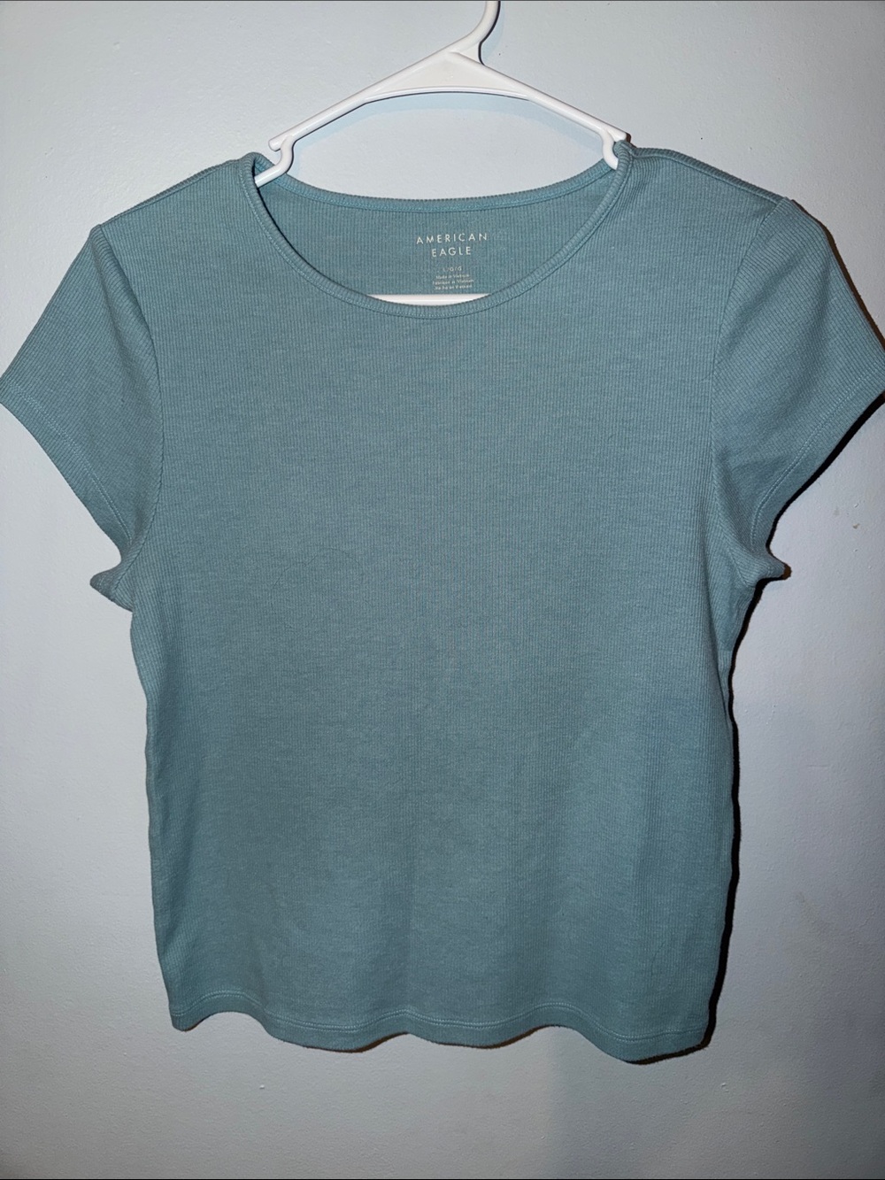 American Eagle Outfitters Short Sleeve Crew Tee - Teal Blue